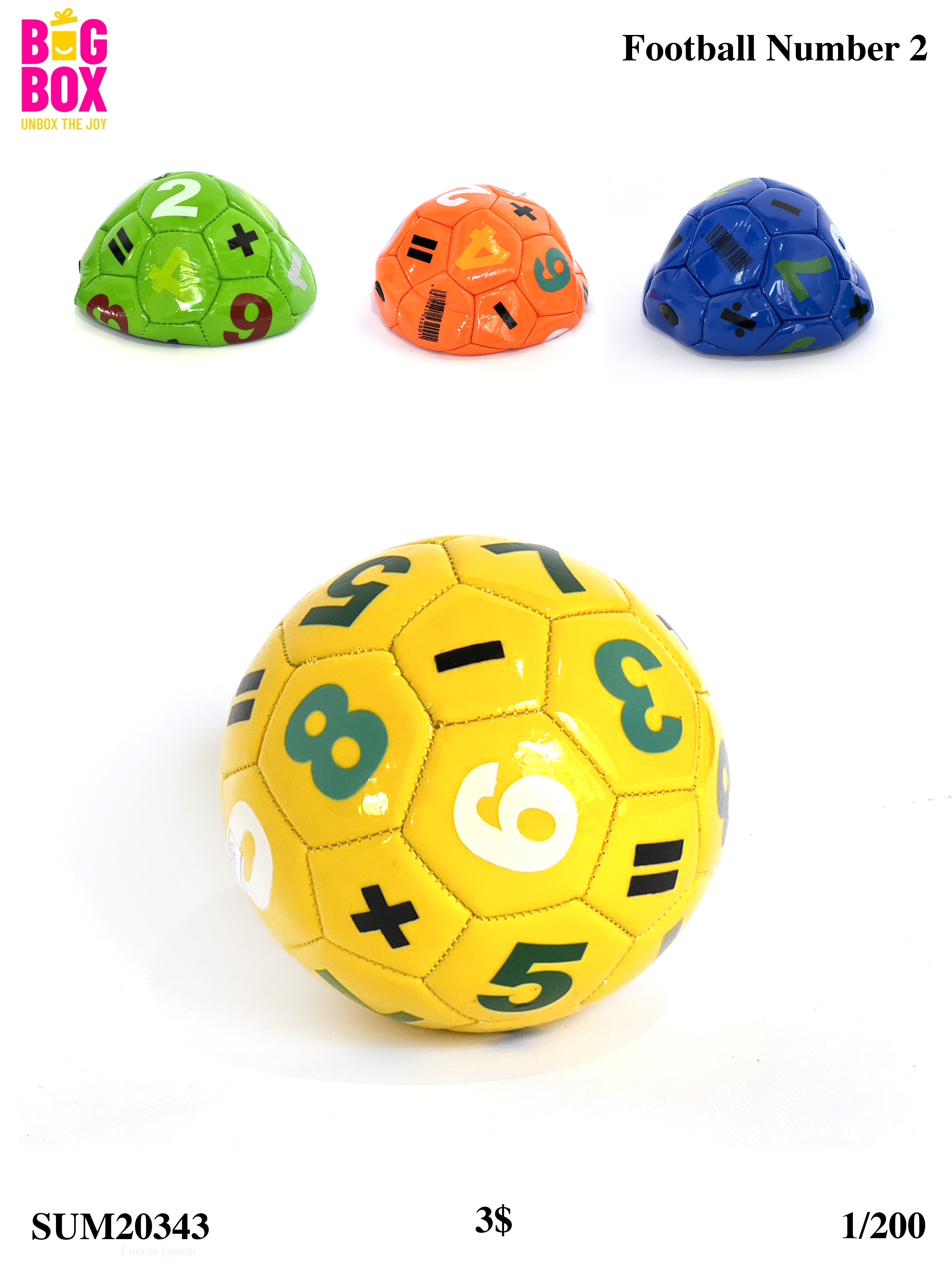 Water Guns, Balls & Toys SUM20343