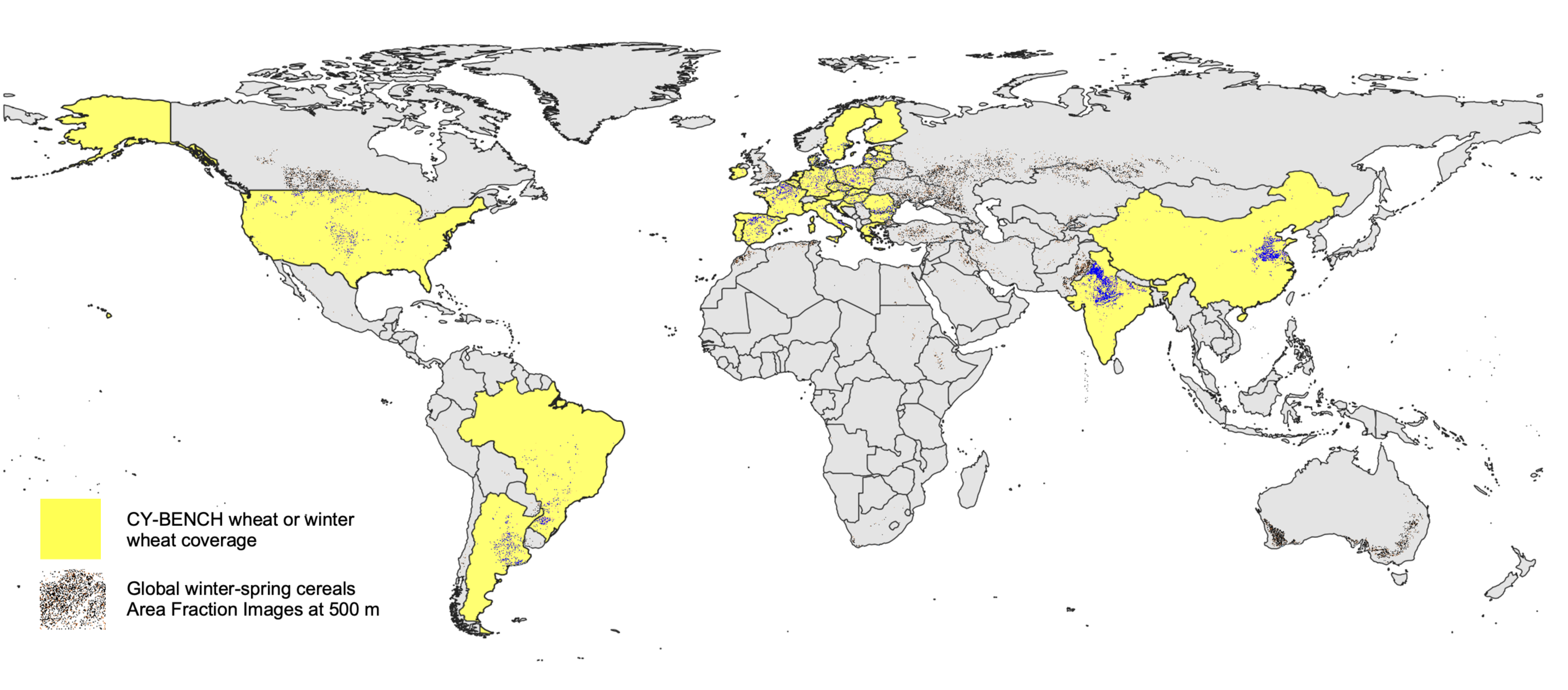 Wheat Coverage Map