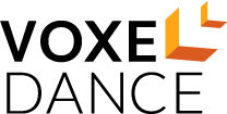 voxeldance