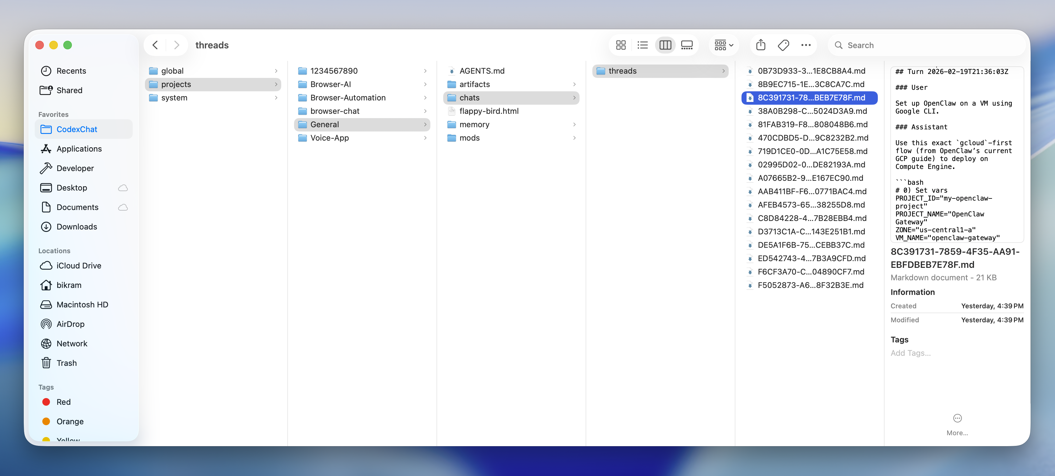 Conversation memory stored locally