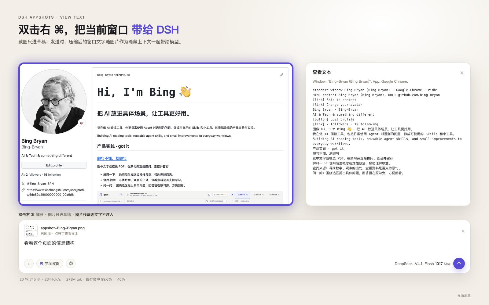 dsh-appshots 界面示意