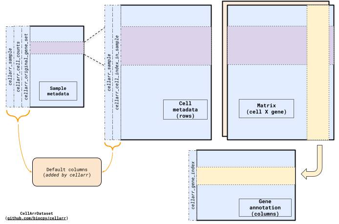 CellArrDataset structure