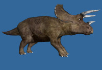 images/triceratops_sml.jpg