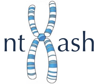 ntHash Logo