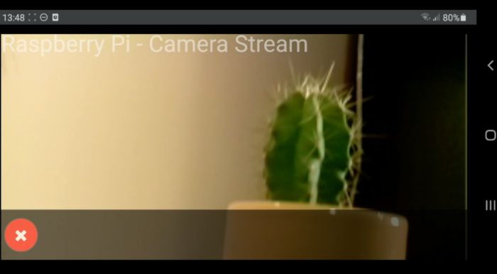 Live Pi Camera Stream