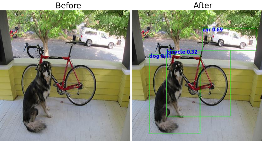 Image of Before and After results using this Tiny Yolo 3 Model