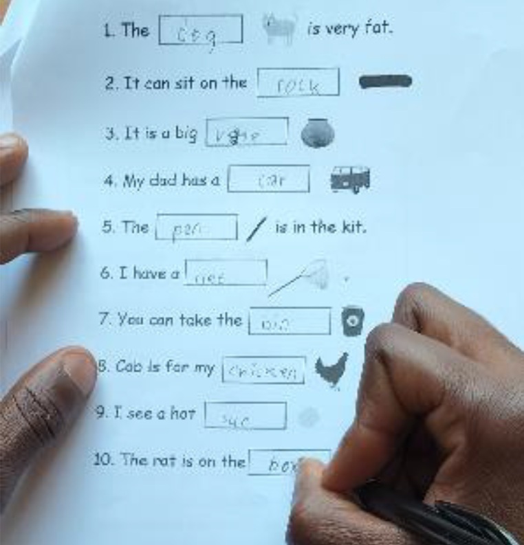 3rd Term examination with text only