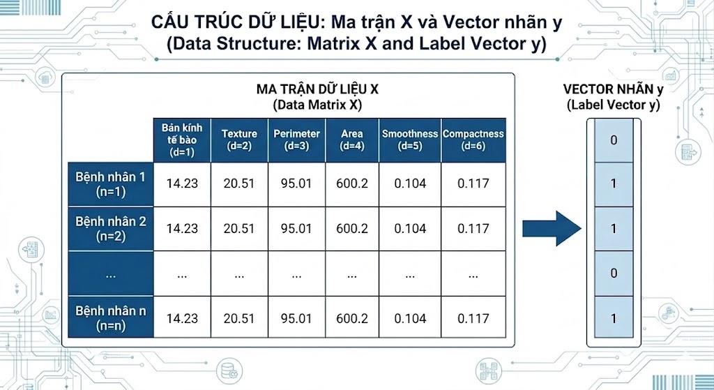 Pic 2. Illustration of data matrix X and label vector y structure