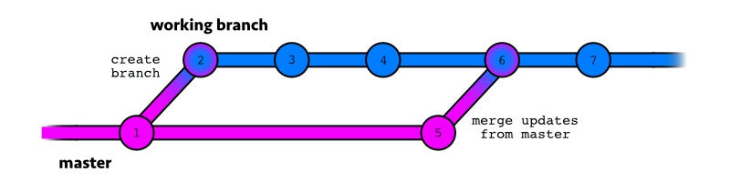 sample git workflow