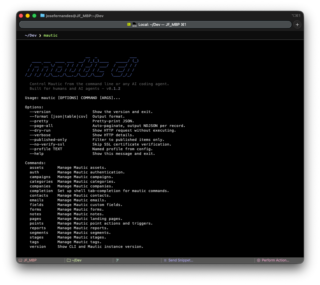 mautic-cli screenshot