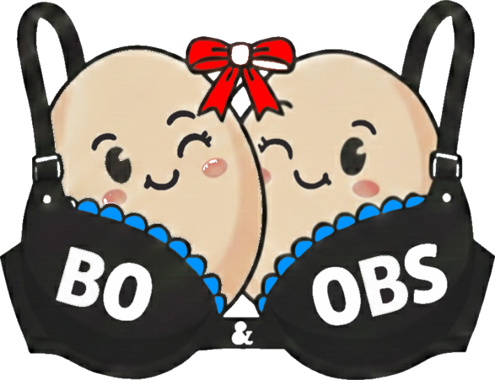 Bo & Obs Logo