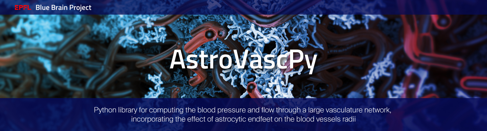 AstroVascPy Logo