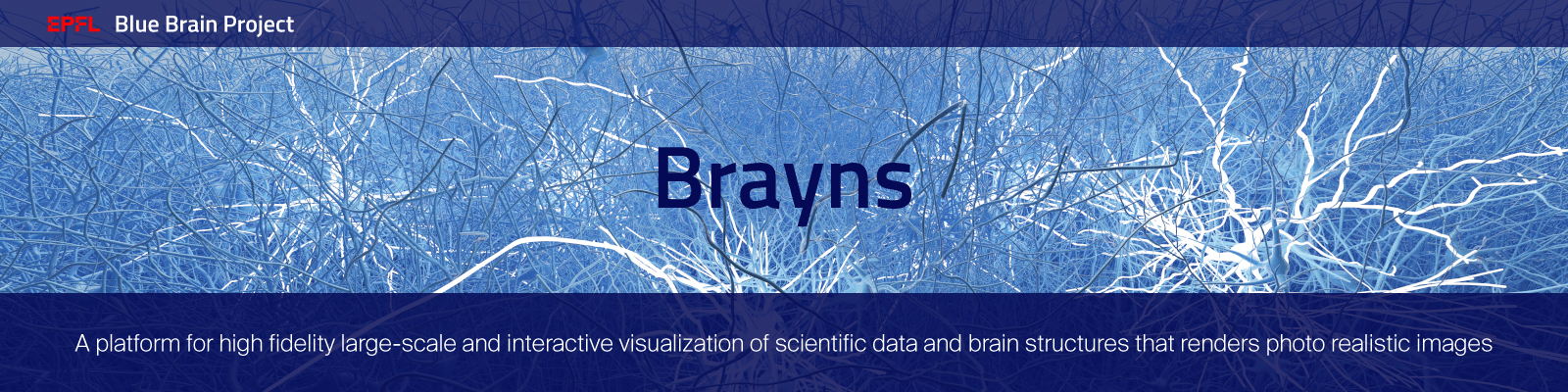 Brayns banner Banner