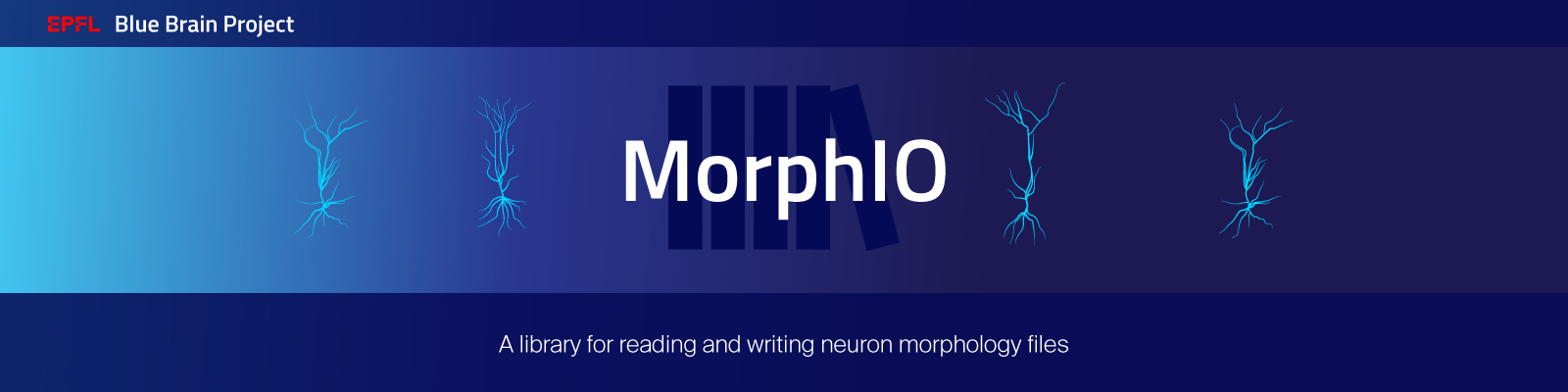 doc/source/logo/BBP-MorphIO.jpg