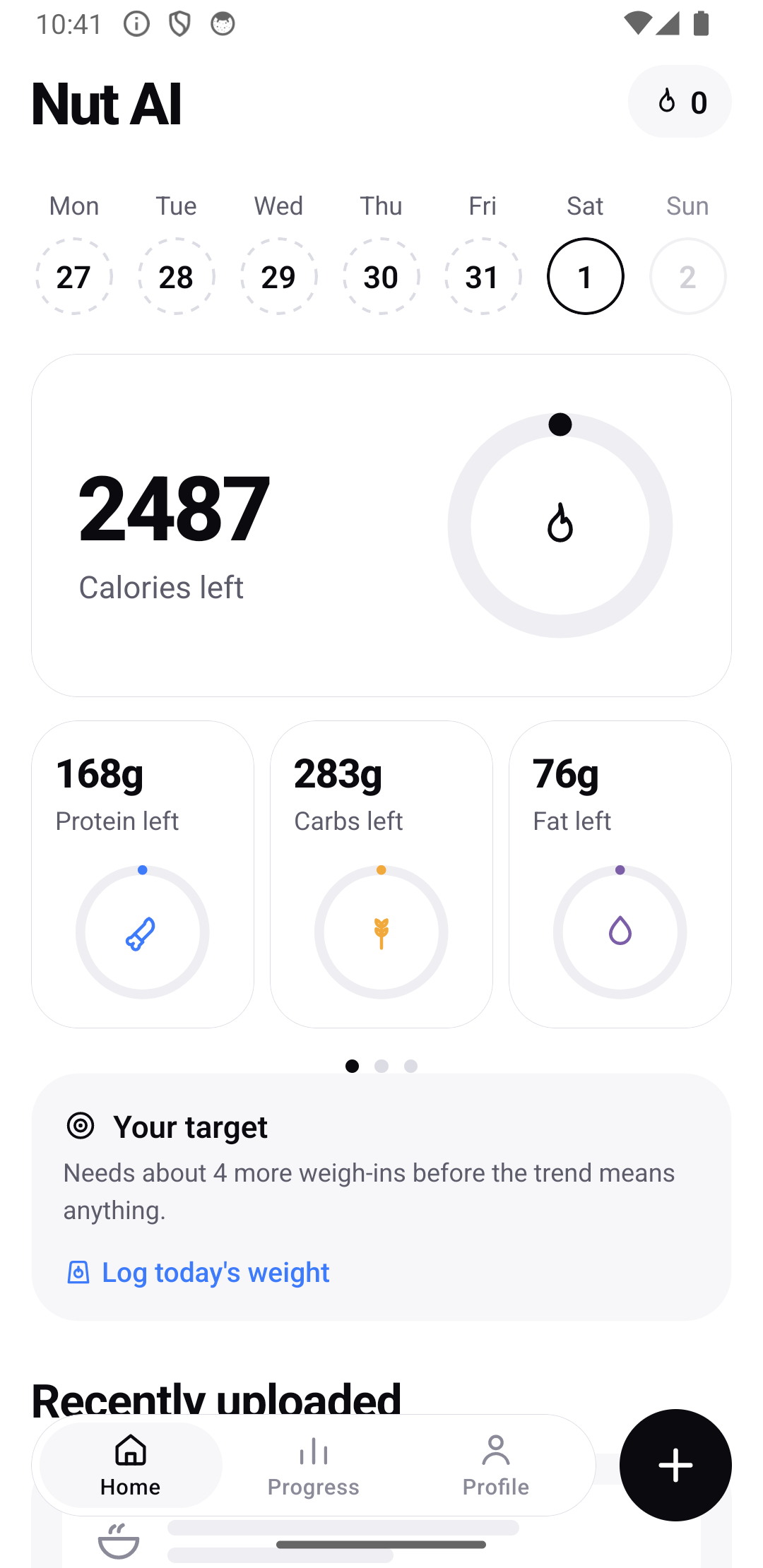Nut AI interface