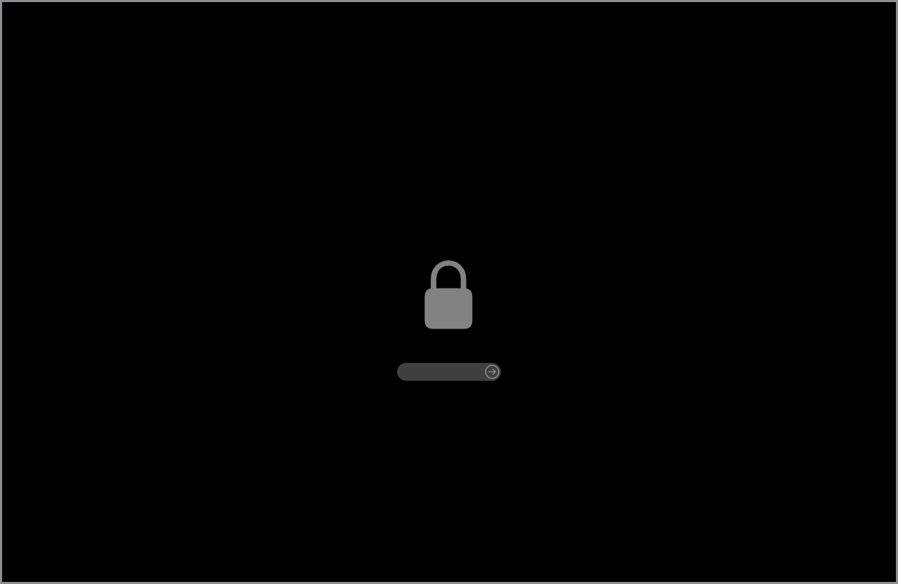 Firmware Password 输入界面
