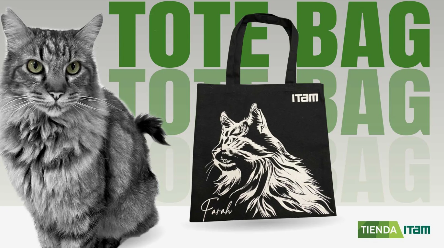 Banner Gato ITAM