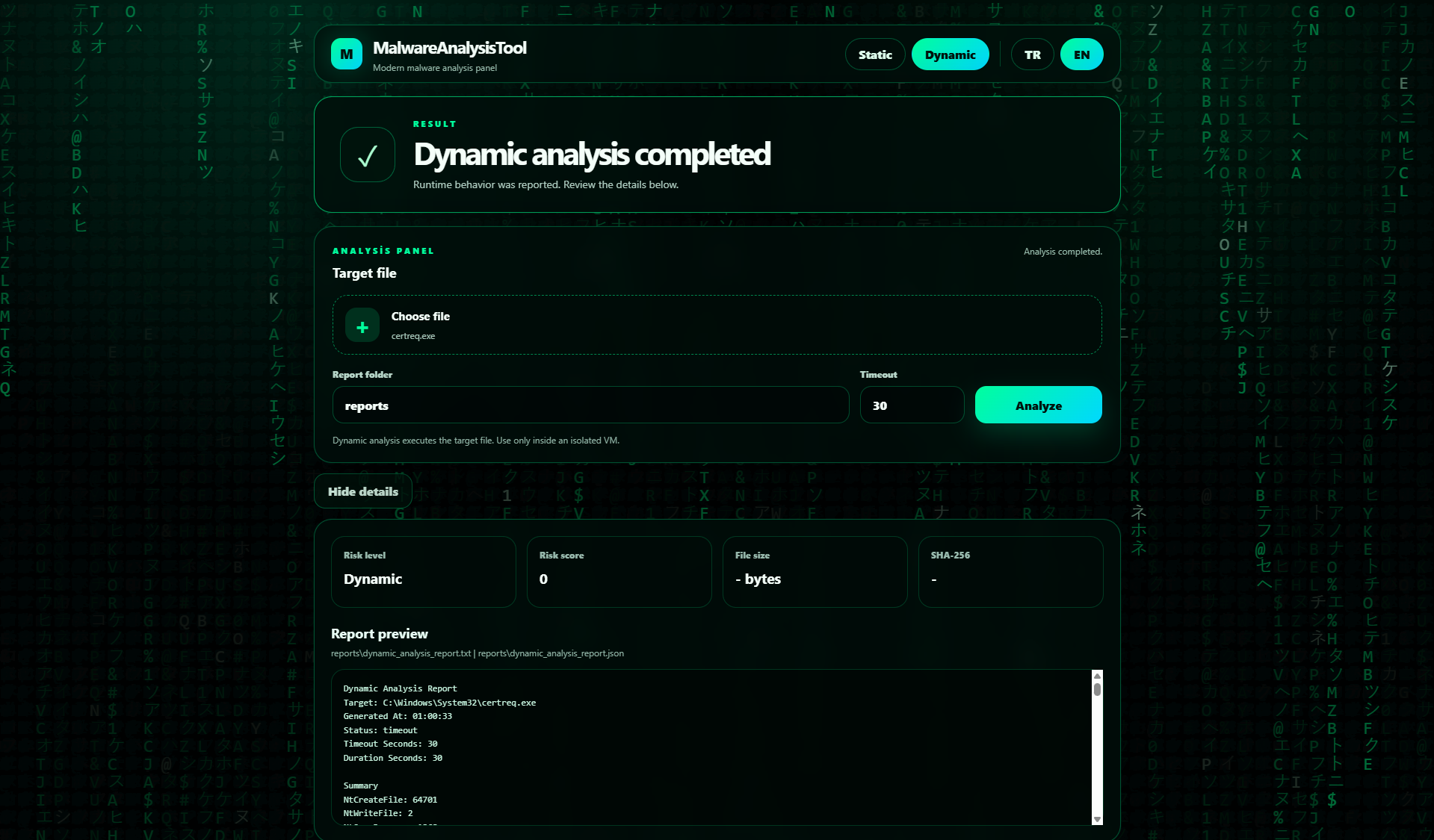 MalwareAnalysisTool GUI 3