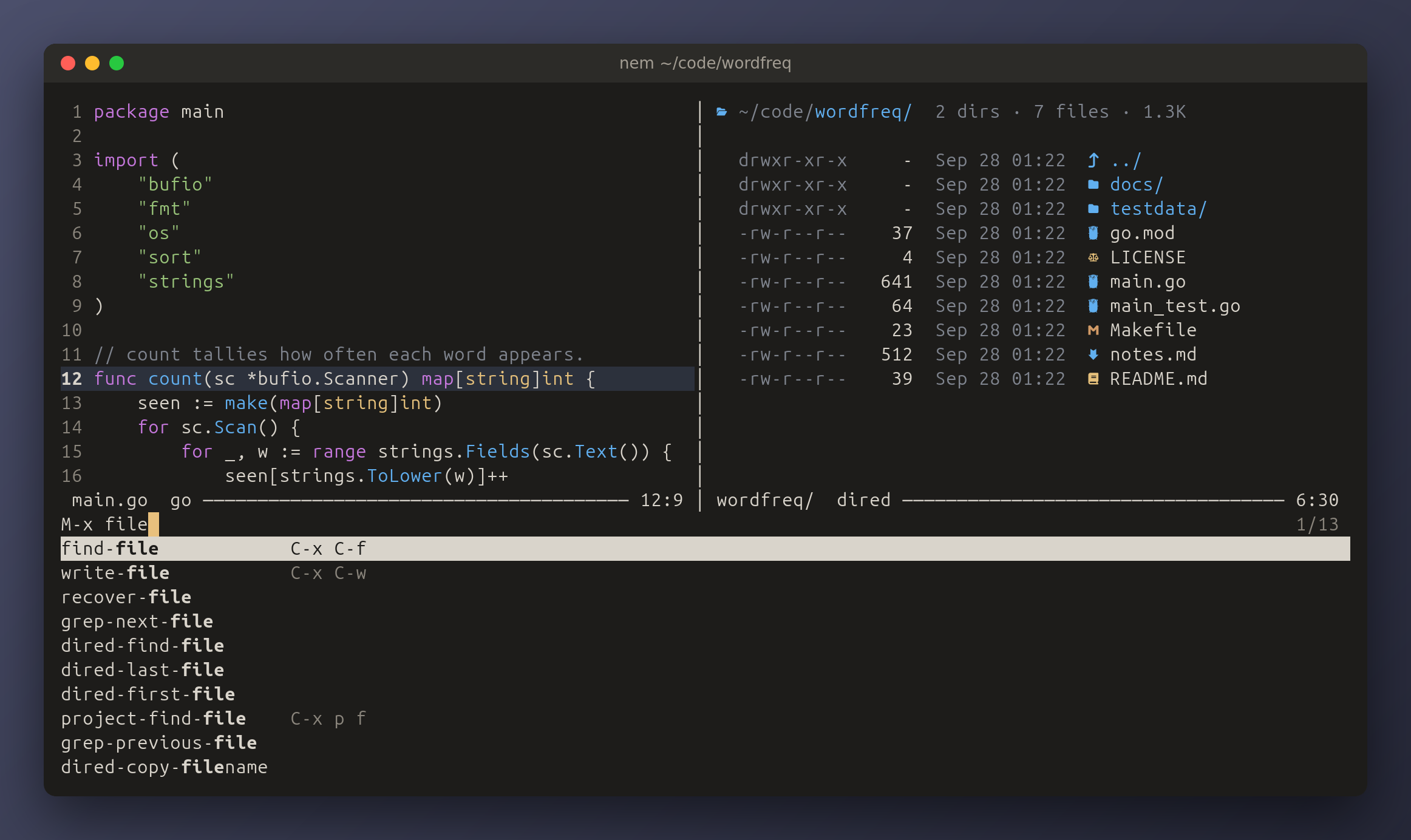 nem editing a Go file beside a directory listing, with M-x completing commands at the foot of the screen