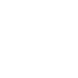 Bortronx 3D Graphics and Simulation