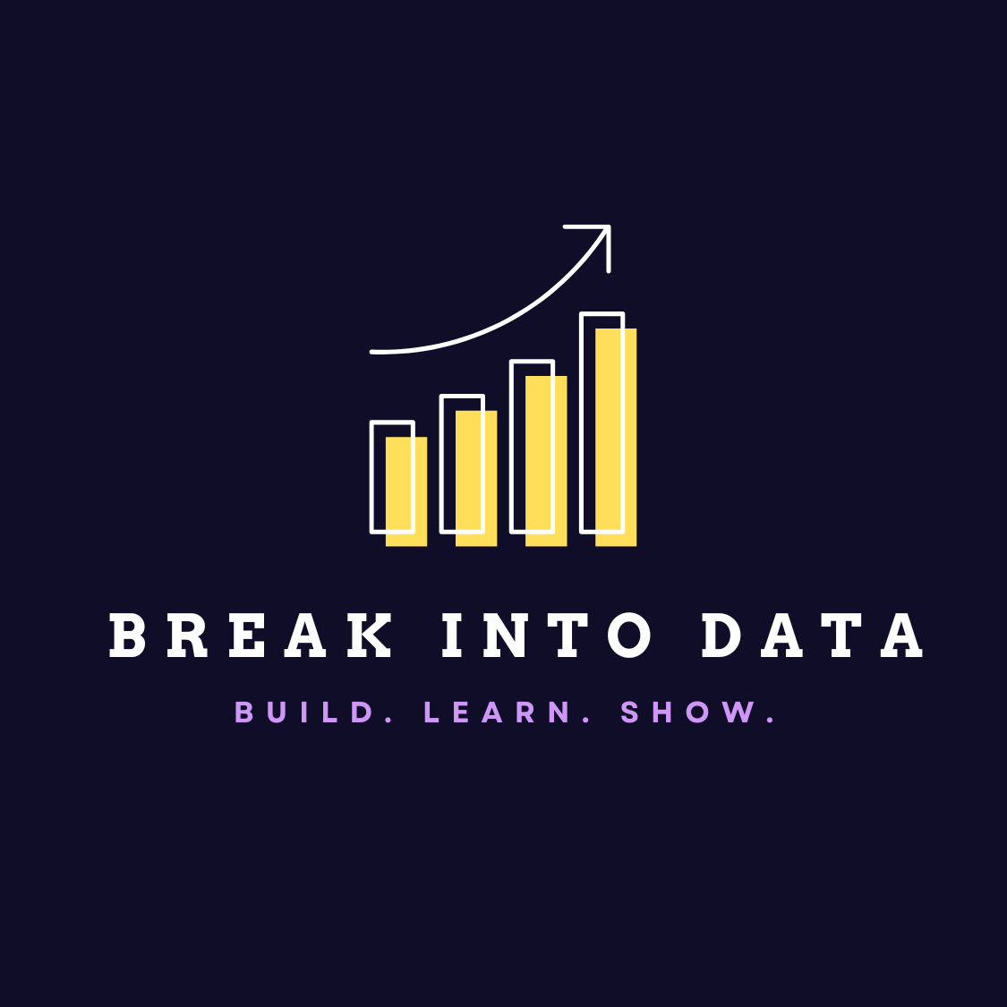 Break Into Data Logo