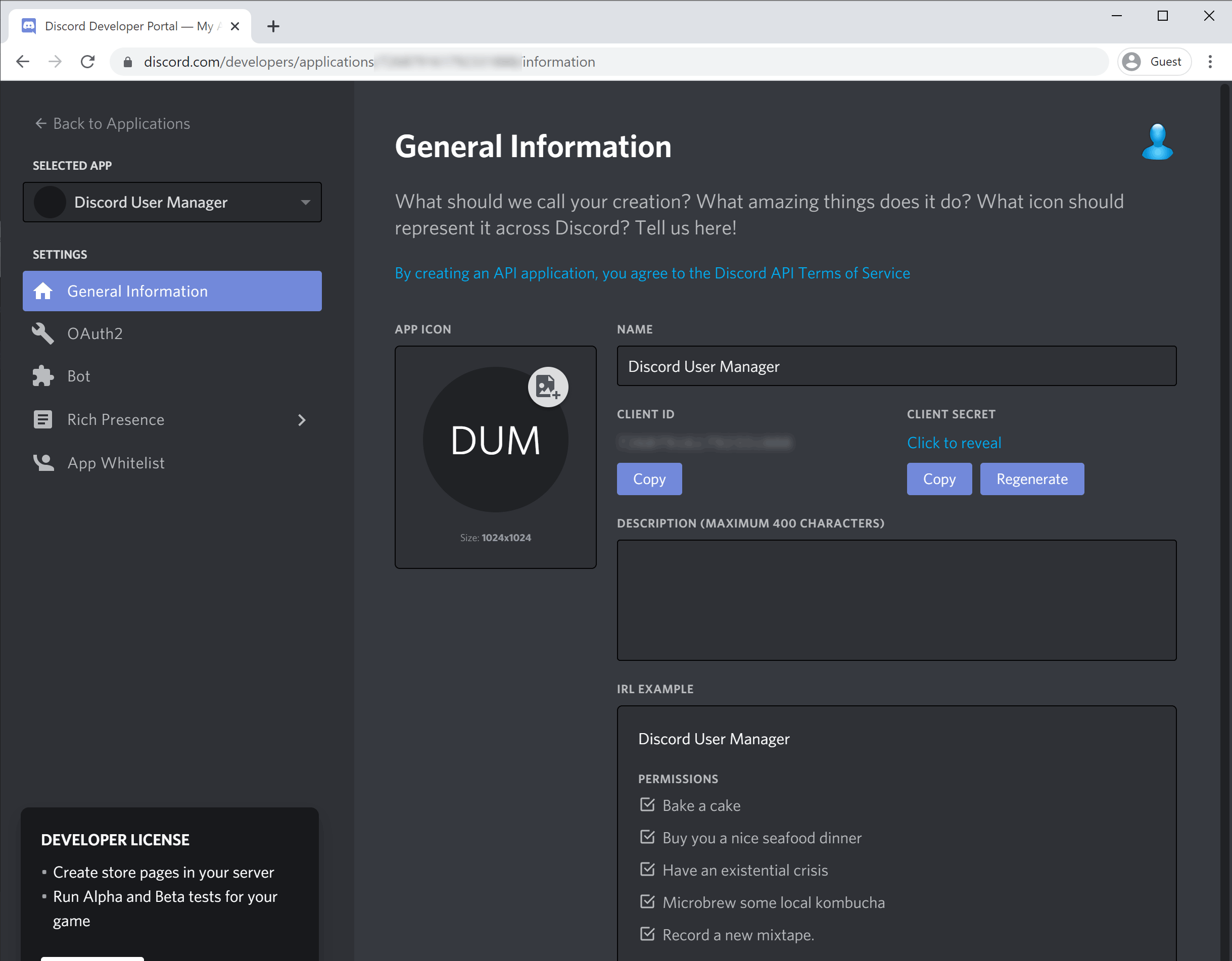 Discord application information