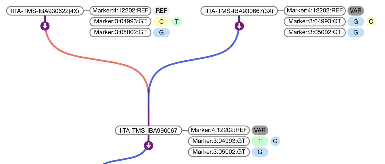 PNG of Realistic Data Example