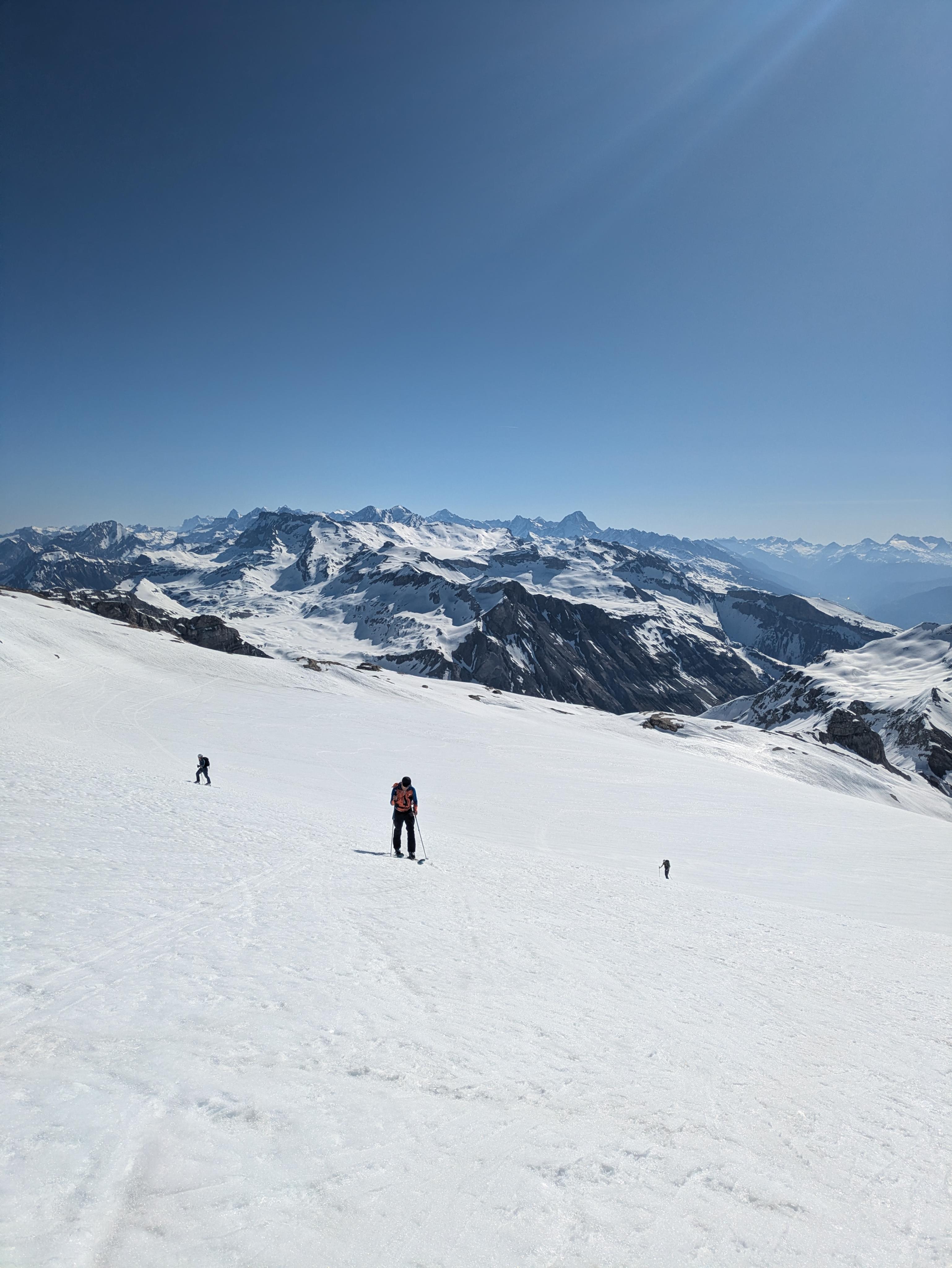 Wildhorn