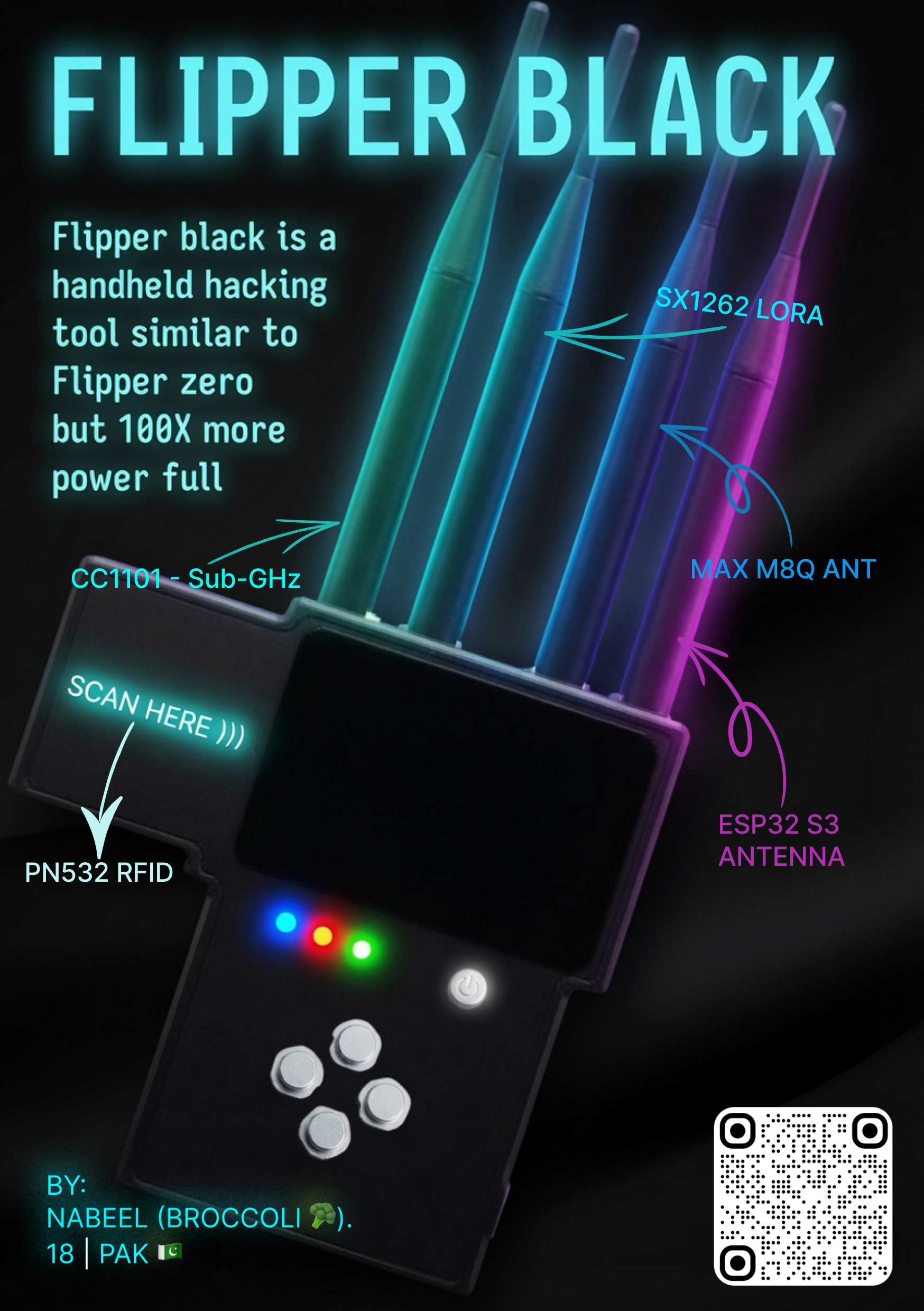 Black-Flipper, from the project README