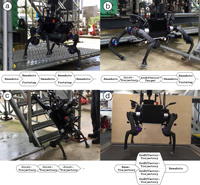 Free Gait Motion Examples