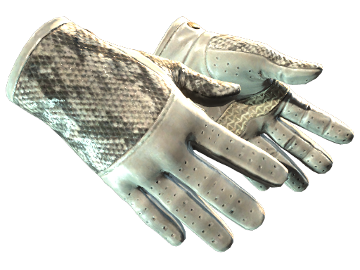 ★ Driver Gloves | King Snake 