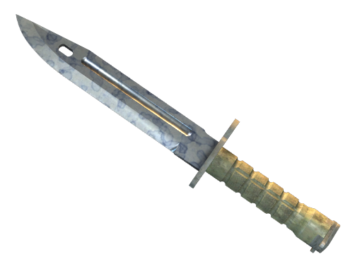 ★ Bayonet | Stained 