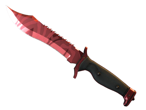 ★ Bowie Knife | Slaughter 
