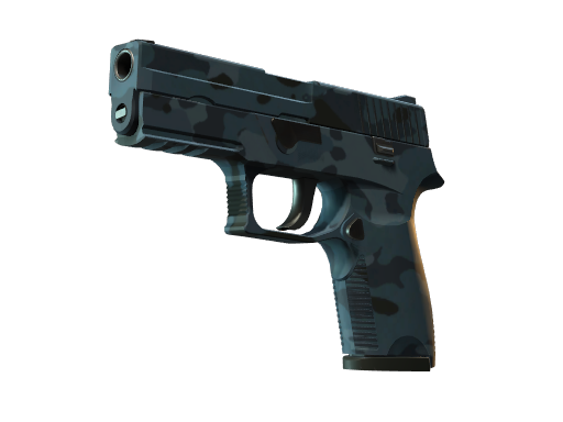 P250 | Forest Night 