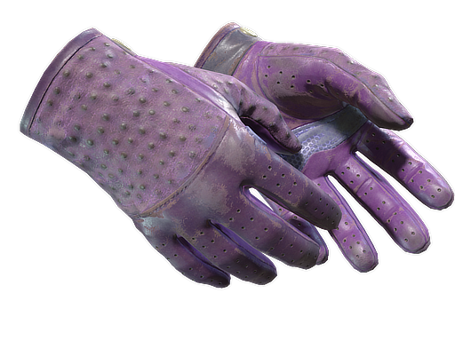 ★ Driver Gloves | Plum Quill