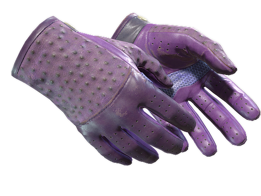 ★ Driver Gloves | Plum Quill