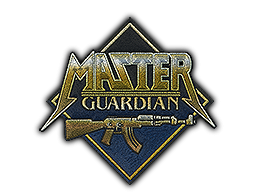 Metal Master Guardian image