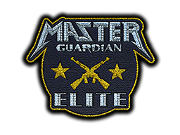 Metal Master Guardian Elite image