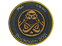 ENCE | Stockholm 2021 image