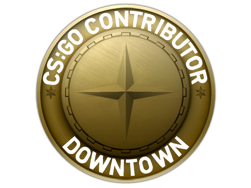 Downtown Map Coin