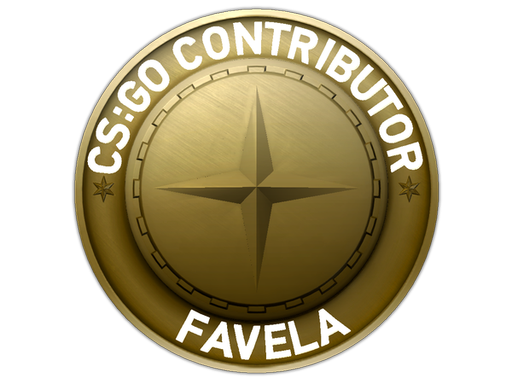 Favela Map Coin