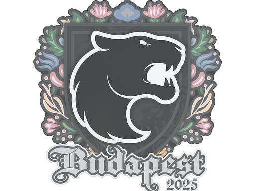 Наклейка | FURIA | Будапешт-2025