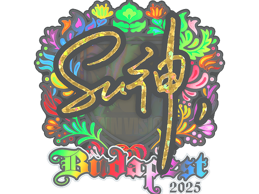 C4LLM3SU3 (Holo) | Budapest 2025