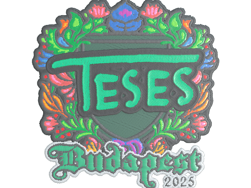 TeSeS (Embroidered) | Budapest 2025