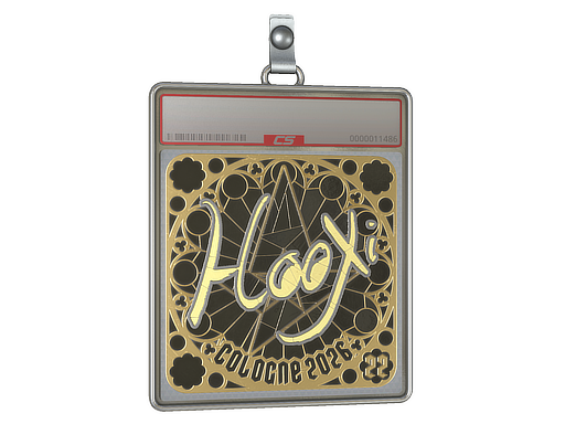 Sticker Slab | HooXi (Gold, Ranked) | Cologne 2026