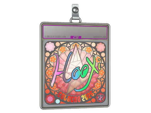 Sticker Slab | HooXi (Holo, Ranked) | Cologne 2026