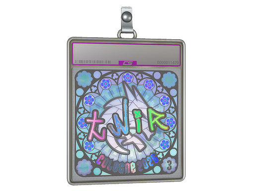 Sticker Slab | tN1R (Holo, Ranked) | Cologne 2026