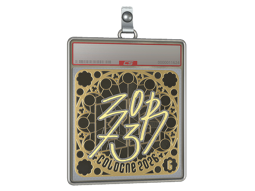 Sticker Slab | zorte (Gold, Ranked) | Cologne 2026