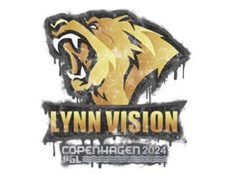 Sealed Graffiti | Lynn Vision | Copenhagen 2024 image