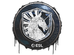 Sealed Graffiti | Team Liquid | Katowice 2019 image